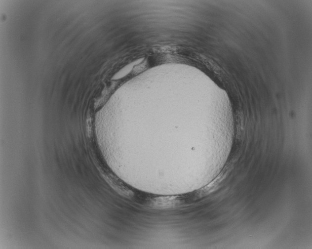 X0000066940090200604211801