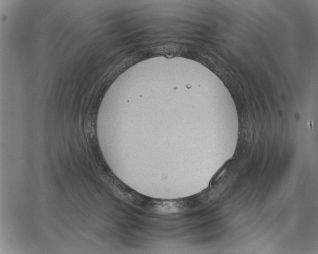 X0000066940091200604211801