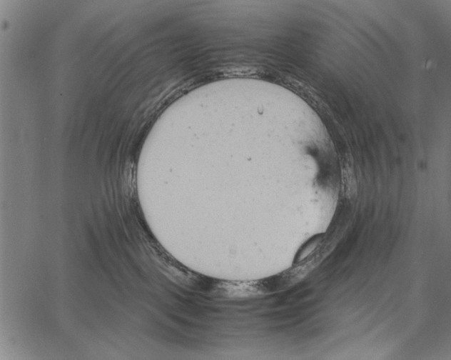 X0000066940093200604211801