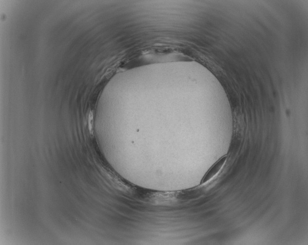 X0000066940094200604211801