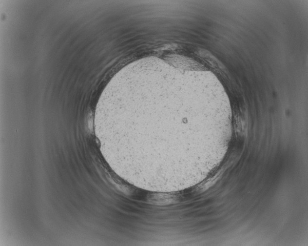 X0000066940095200604211801