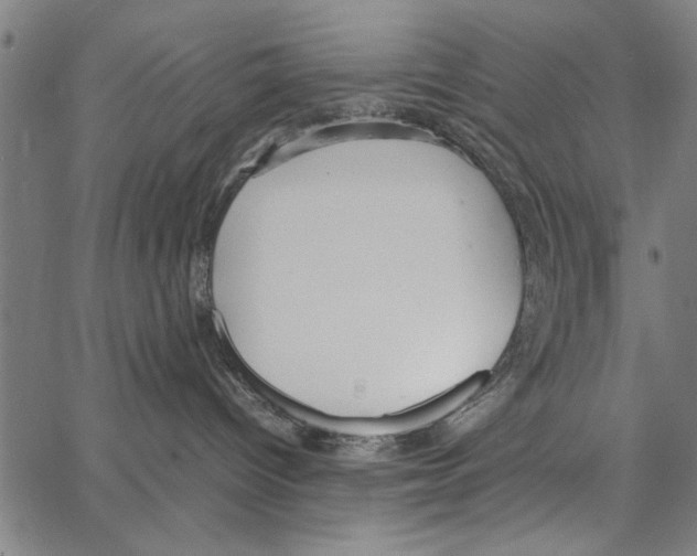 X0000066940096200604211801