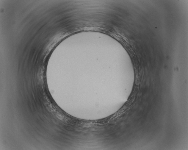 X0000066940098200604211800