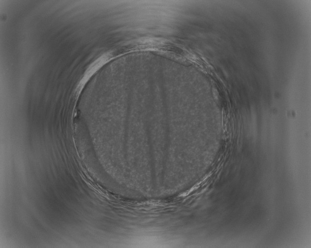 X0000066940099200604211800