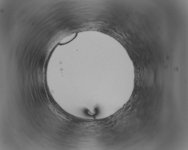 X0000066940100200604211800