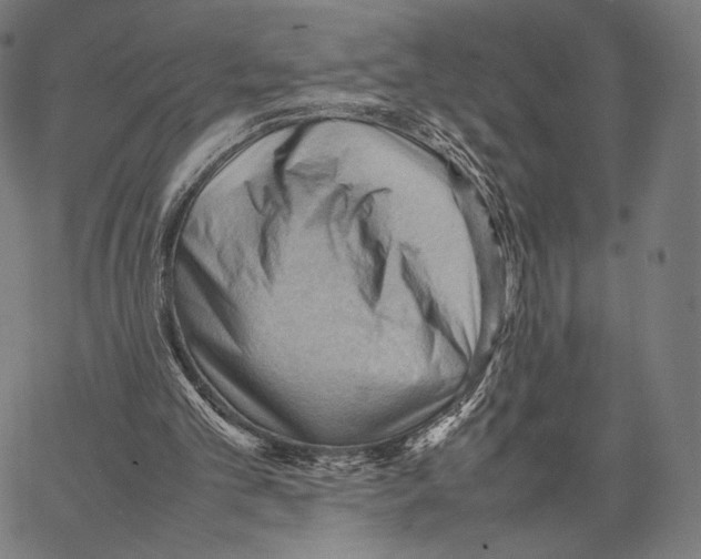 X0000066940101200604211800