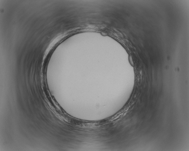 X0000066940102200604211800