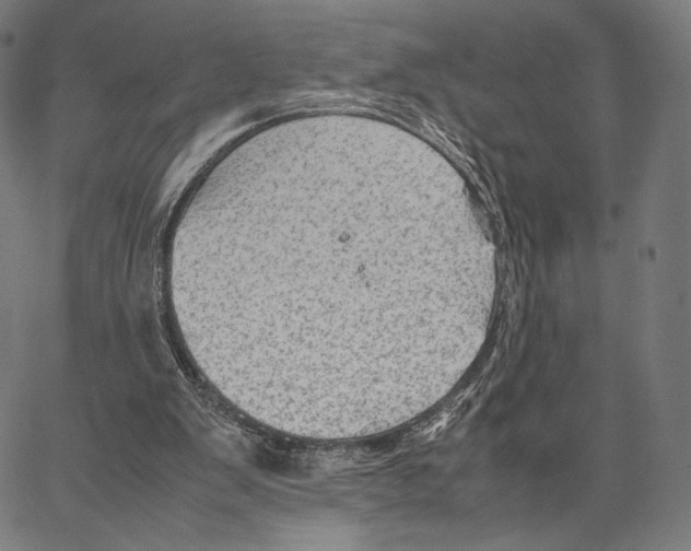 X0000066940103200604211800