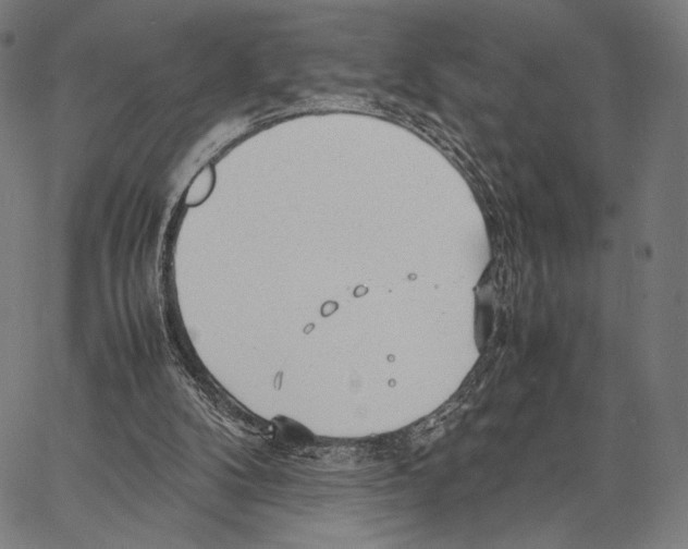 X0000066940104200604211800