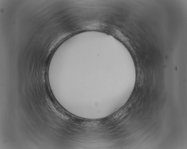 X0000066940106200604211800