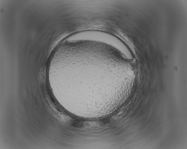 X0000066940107200604211800