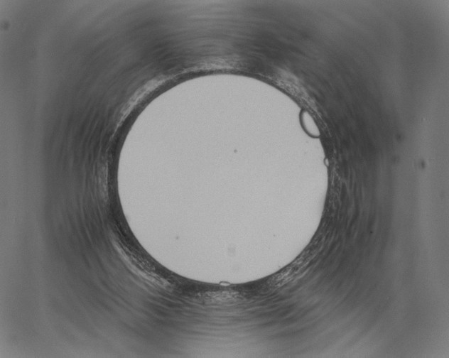 X0000066940108200604211800