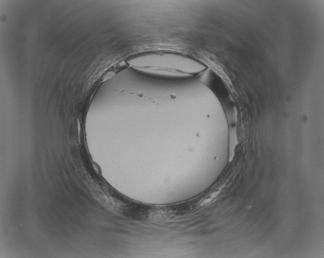 X0000066940109200604211800