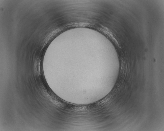 X0000066940110200604211800