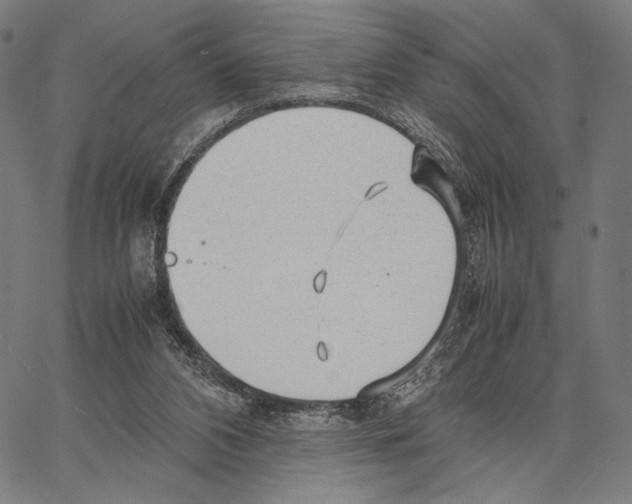 X0000066940112200604211800