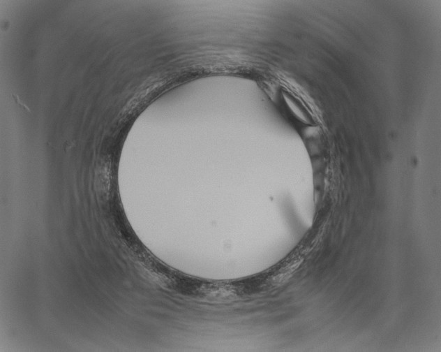 X0000066940113200604211800