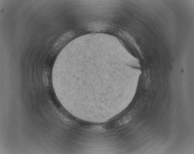 X0000066940114200604211800