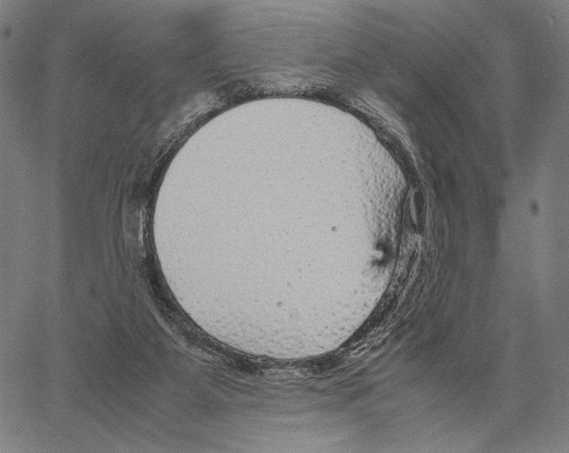 X0000066940115200604211800