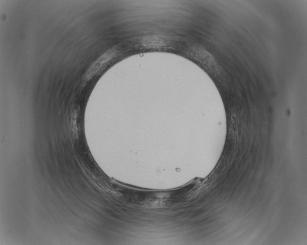 X0000066940116200604211800