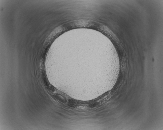 X0000066940119200604211800