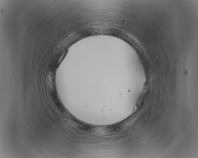 X0000066940121200604211759