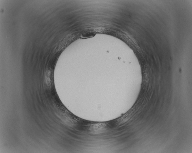 X0000066940122200604211759