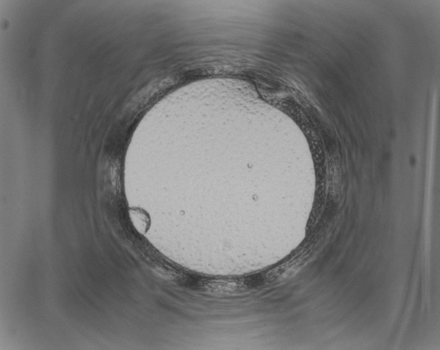 X0000066940123200604211759