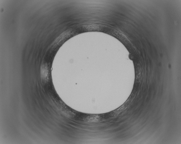 X0000066940124200604211759