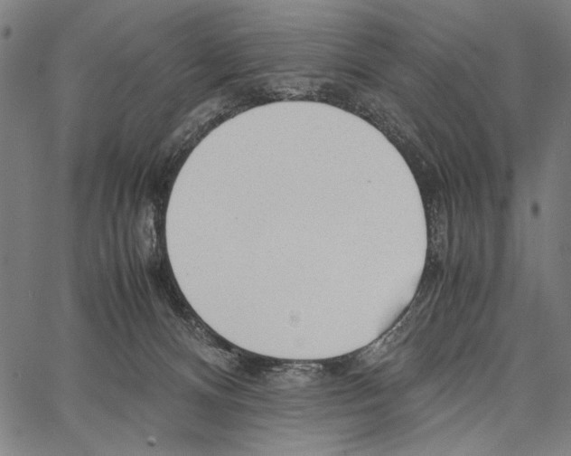 X0000066940128200604211759