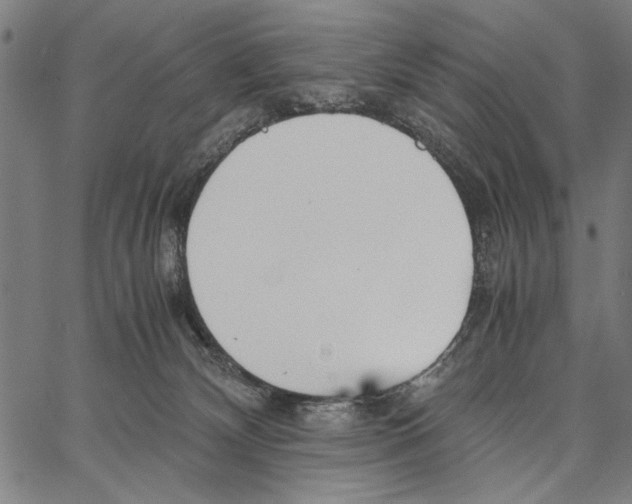 X0000066940132200604211759