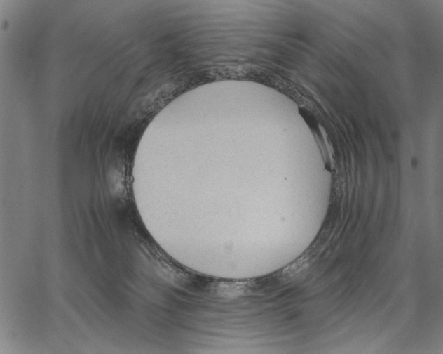 X0000066940134200604211759