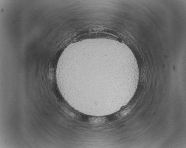 X0000066940135200604211759