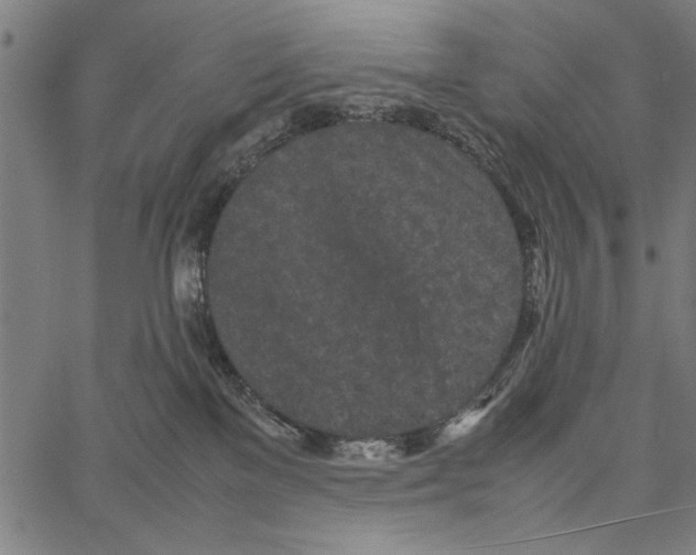 X0000066940137200604211759