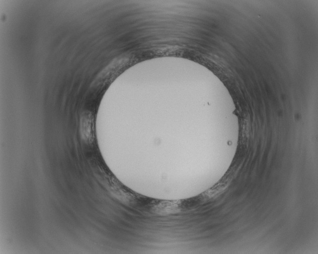 X0000066940138200604211759