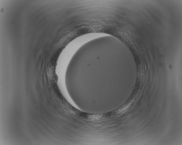 X0000066940139200604211759