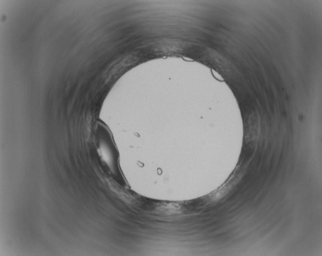 X0000066940140200604211759