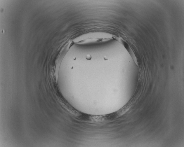 X0000066940141200604211759