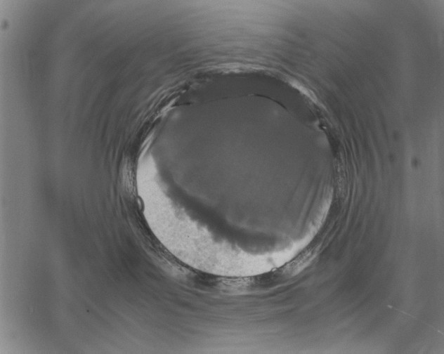 X0000066940143200604211759