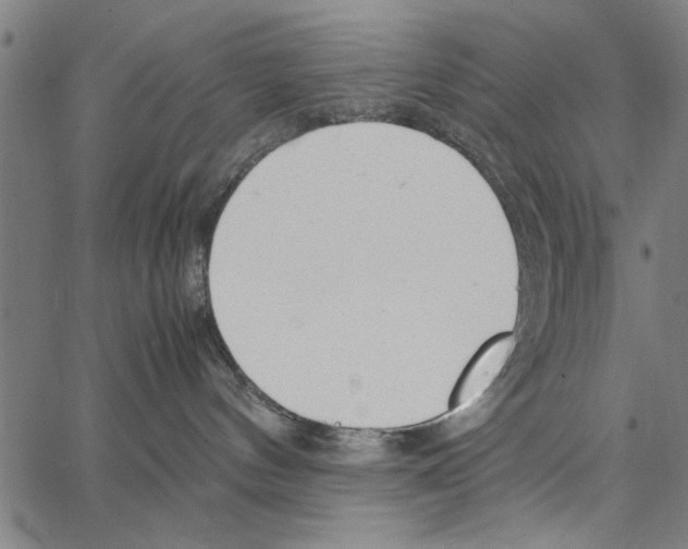 X0000066940144200604211759