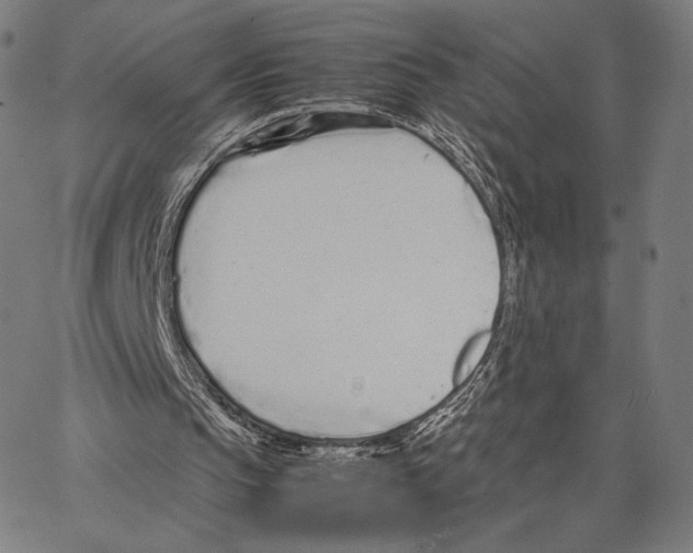 X0000066940145200604211758