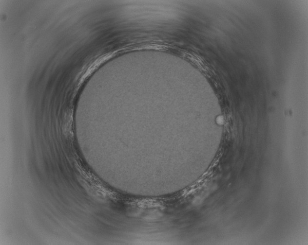 X0000066940146200604211758