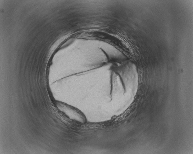 X0000066940147200604211758