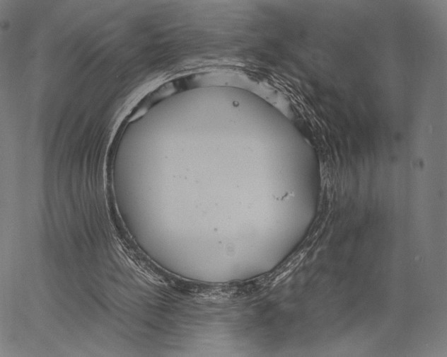 X0000066940148200604211758