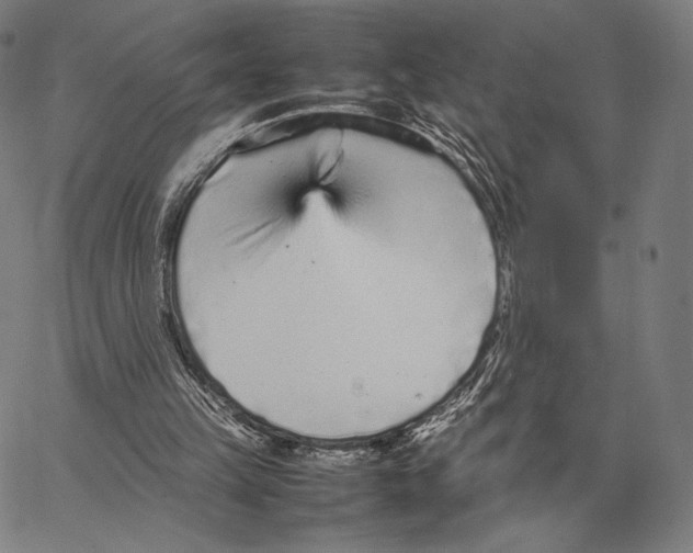 X0000066940149200604211758