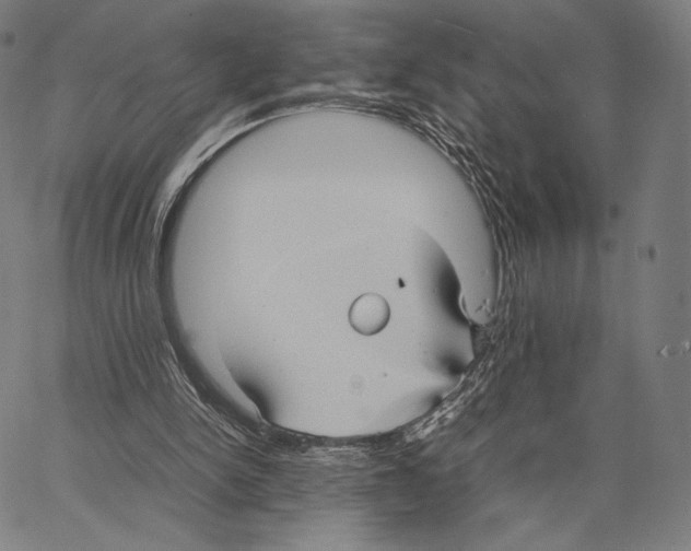 X0000066940150200604211758