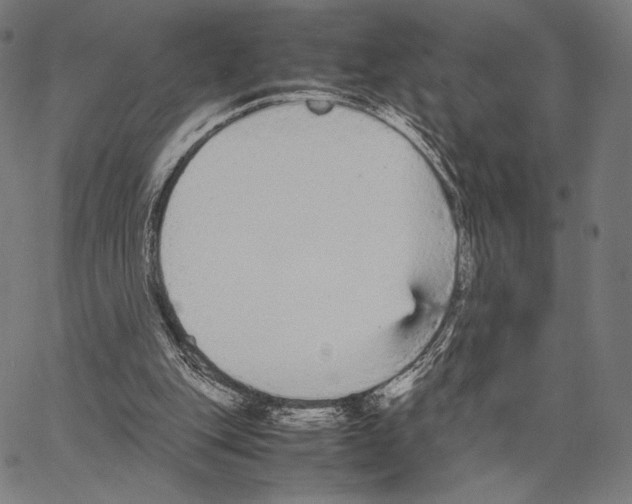 X0000066940151200604211758