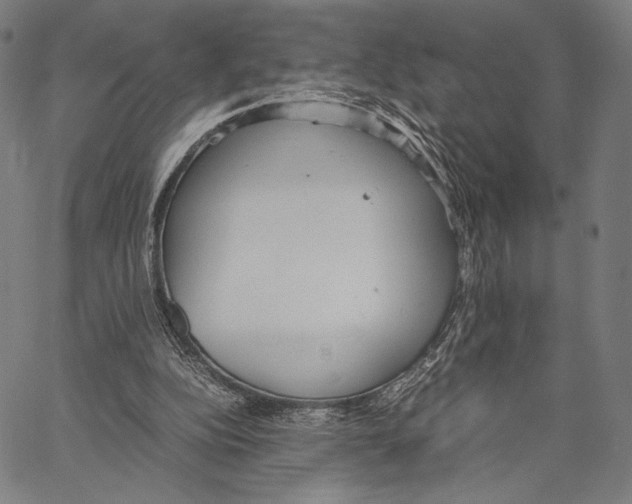 X0000066940152200604211758