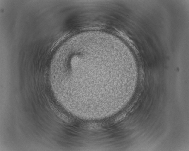 X0000066940153200604211758