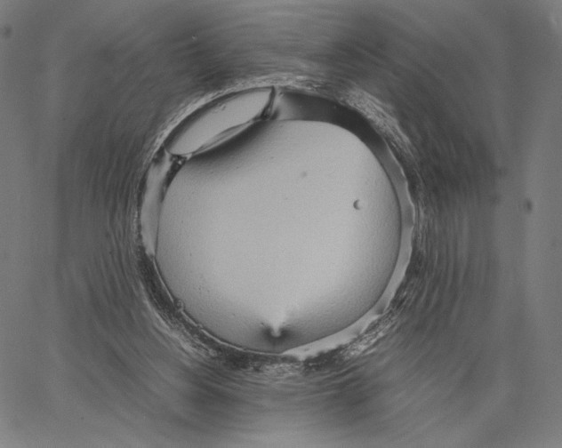 X0000066940156200604211759