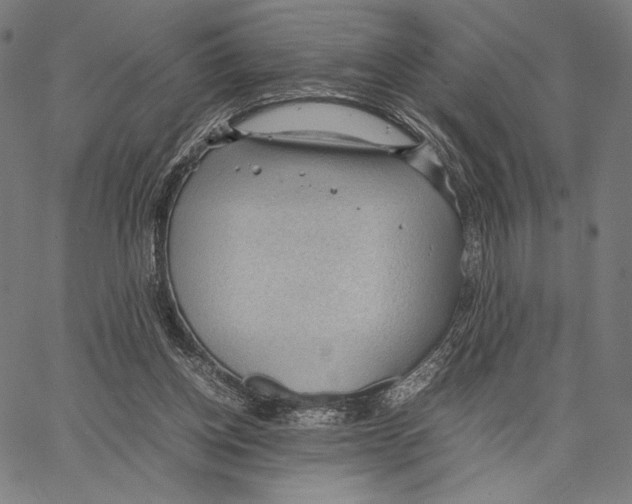 X0000066940158200604211759